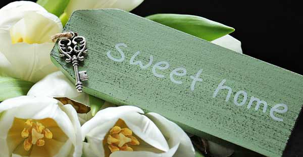 Reiki sweet home