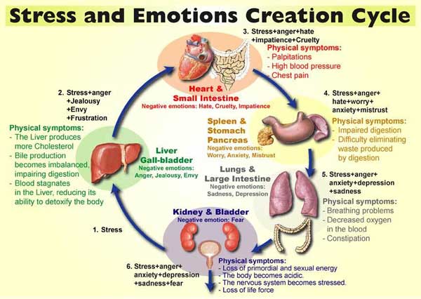 Emocije ciklus